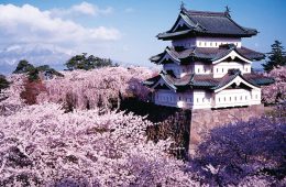 Los castillos más bellos de Japón