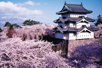 Los castillos más bellos de Japón