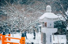 cosas para ver y hacer en Japón en invierno
