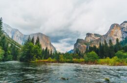 qué hacer en el Parque Nacional de Yosemite